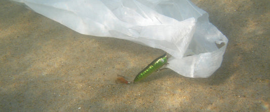 Beat-It-Kooks-Plastic-Pollution-Ocean-Plastic-Header-Image