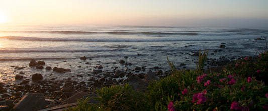 Header-Image-Love-Letter-for-the-End-of-June