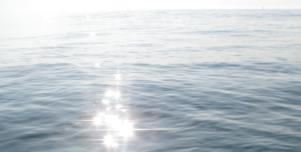OCEAN LOVE