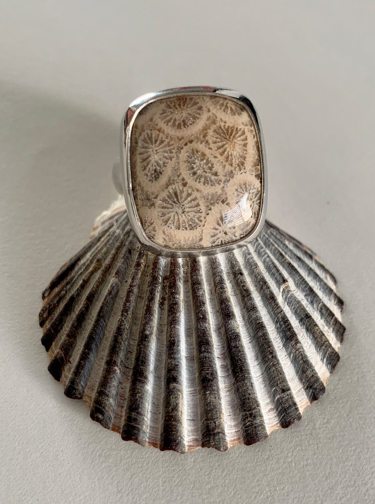 Fossil Coral Vessel Ring • Size 9.5