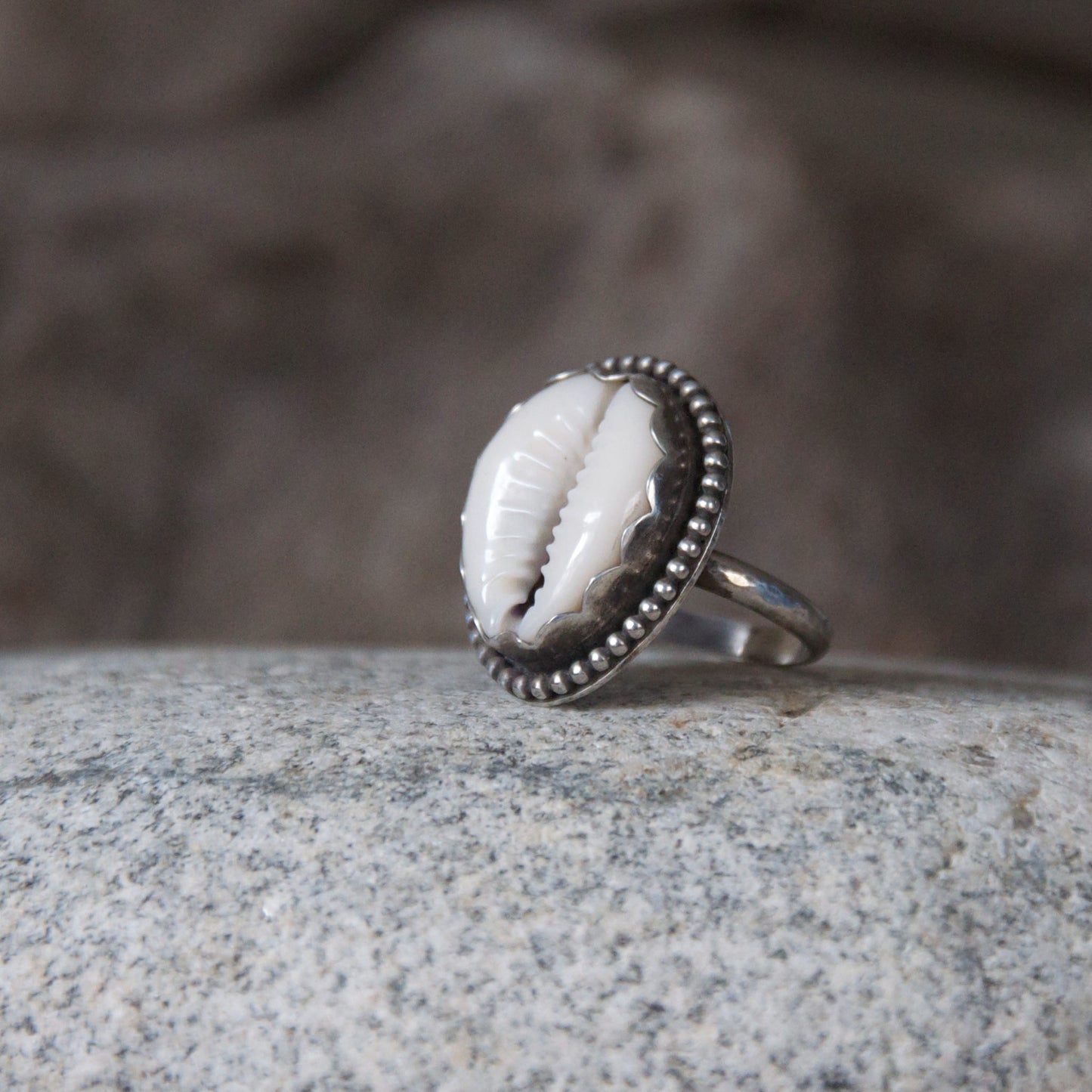La-Playa-Cowry-Shell-Ring-in-Sterling-Silver-Hammered-Band